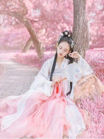 【唐装・漢服ー女】中華服古装 唐朝服 演出服 撮影服 女性用 刺繍 シフオン 白色 ピンク